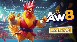 giao diện app đá gà trực tiếp gà duyên ti