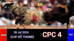 giao diện app đá gà trực tiếp ngày 23 tháng 7 cpc4
