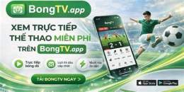 giao diện app đá gà trực tiếp thể thao