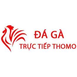 giao diện app đa gà trực tiếp tho mo hôm nay