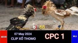 giao diện app đá gà trực tiếp thomo 23/7