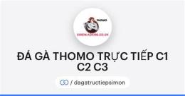 giao diện app đá gà trực tiếp thomo 67 c1 c2 c3