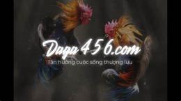giao diện app đá gà trực tiếp thomo con gà đen chấm com