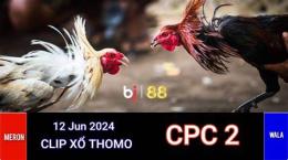 giao diện app đá gà trực tiếp thomo ngày 12 tháng 6