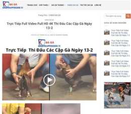 giao diện app đá gà trực tiếp thomo ngày 13 thắng 2