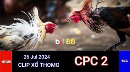 giao diện app đá gà trực tiếp thomo ngày 26 tháng 10