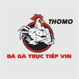 giao diện app đá gà trực tiếp thomo vin