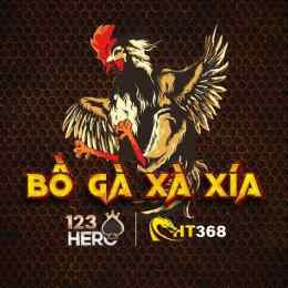 giao diện app đá gà trực tiếp xà xía hà tiên