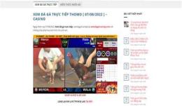 giao diện app da. ga. truc. tiep