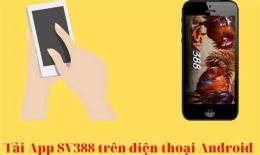 giao diện app đá gà trực tierps