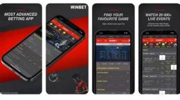 giao diện app đá gà winbet