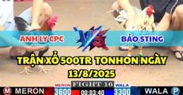 giao diện app đá gà xổ 500 triệu