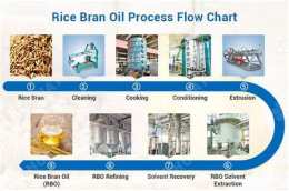 giao diện app dầu gạo rice bran oil