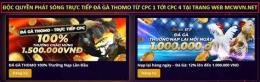 giao diện app gà bảo xì tin đá thomo