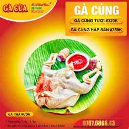 giao diện app gà cùa quảng trị tại đà nẵng