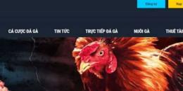 giao diện app gà đá casino trực tiếp