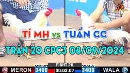giao diện app gà đá cựa nghiệt