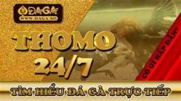 giao diện app ga da thomo tructiep