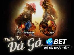 giao diện app game đá gà 2 người