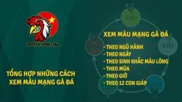 giao diện app hôm nay đá gà màu nào tốt