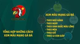 giao diện app hôm nay đá gà nào tốt
