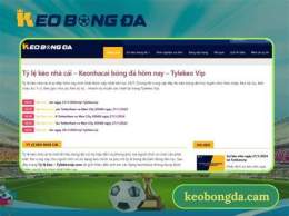 giao diện app kèo đá gà trực tuyến