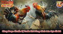giao diện app làm cựa gà đá