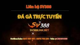 giao diện app lien he da ga sv388 gold