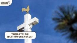 giao diện app nhà thờ con gà đà lạt tên tiếng ảnh