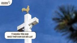 giao diện app nhà thờ con gà trống đà lạt