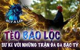 giao diện app những trận đá gà bạc tỷ