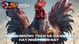 giao diện app nhung tran ga da cua sat hay nhat