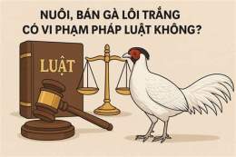 giao diện app nuôi gà đã có phạm luật