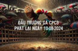 giao diện app phat lai da ga cpc3