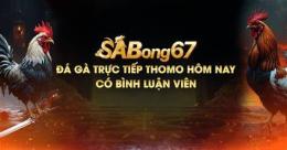 giao diện app sabong67 da ga