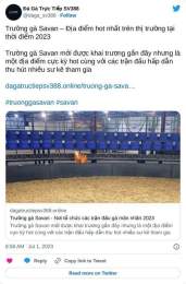 giao diện app savan đá gà trực tiếp