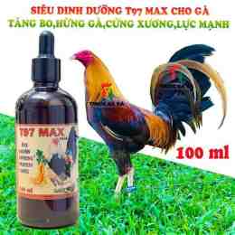 giao diện app t97 cho gà đá