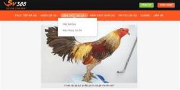 giao diện app thức ăn gà đá sv388