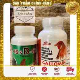 giao diện app thuốc nuôi gà đá b12 & b15