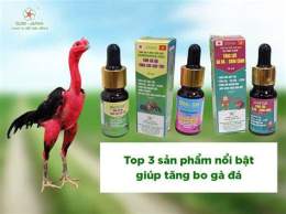 giao diện app thuốc nuôi gà đá tăng bo