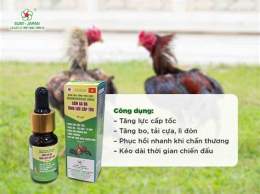 giao diện app thuốc tăng bo gà đá cựa sắt