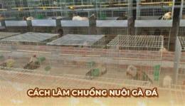 giao diện app tìm việc làm nuôi gà đá