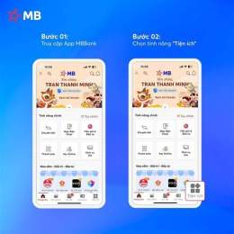 giao diện app tổ chức đá gà an tiền