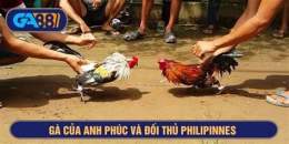 giao diện app tổng hợp những trận đá gà xanh trích