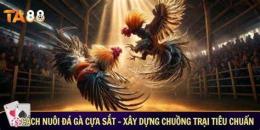 giao diện app trại gà đá cựa sắt