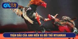 giao diện app trận gà đá xổ 300 của duyên ti
