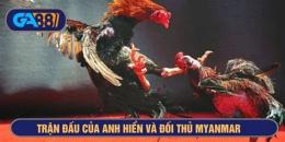 giao diện app trận gà đá xổ 5 tỷ