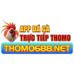 giao diện app trực đa gà thomo