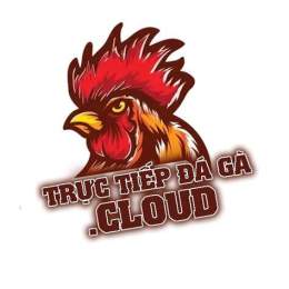 giao diện app trực tiếp đá gà hôm nay cpc2