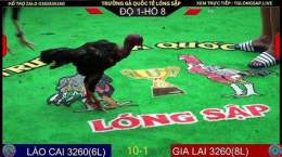 giao diện app trực tiếp đá gà hôm nay88